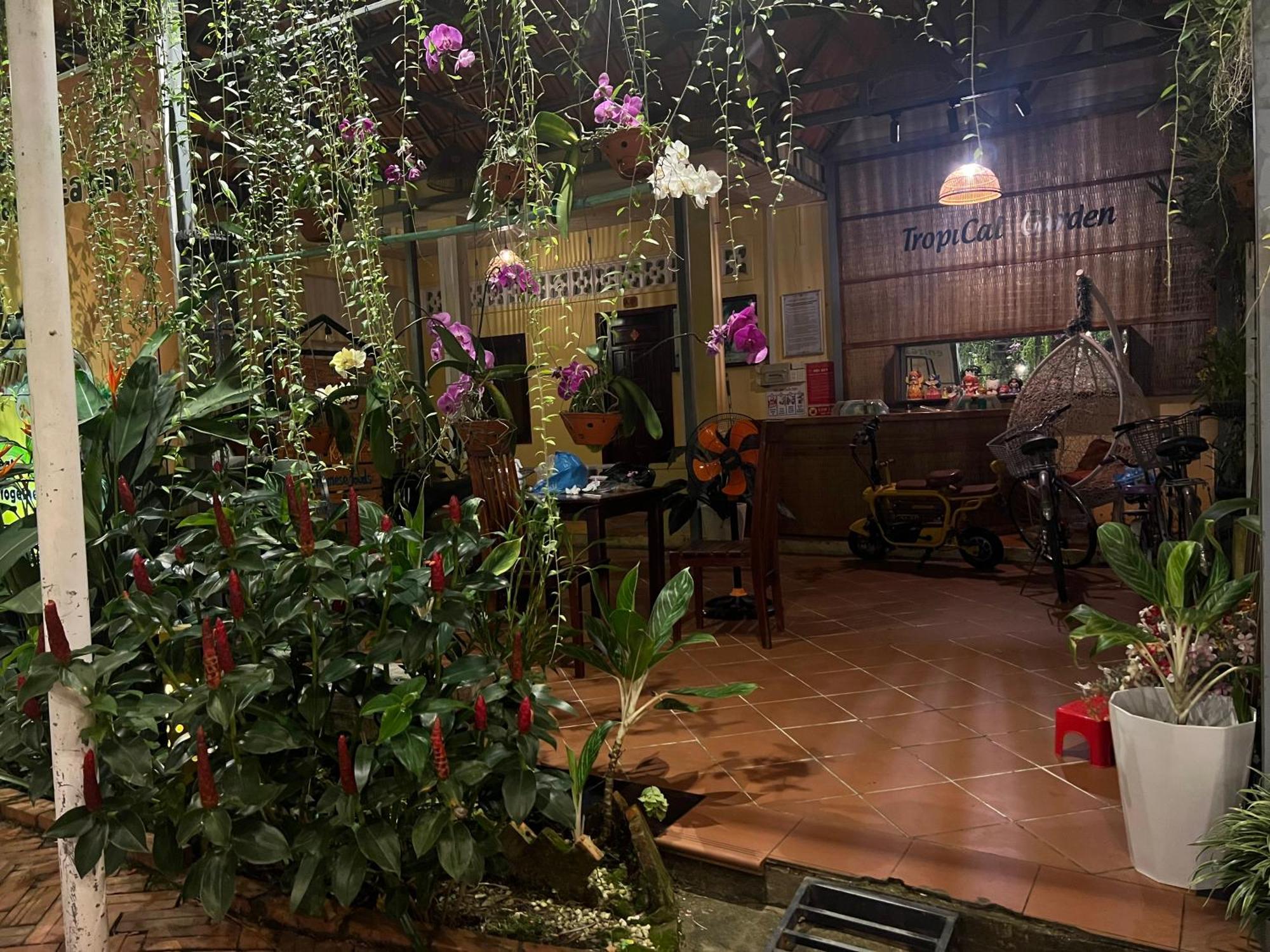 Tropical Garden Дуонг-Донг