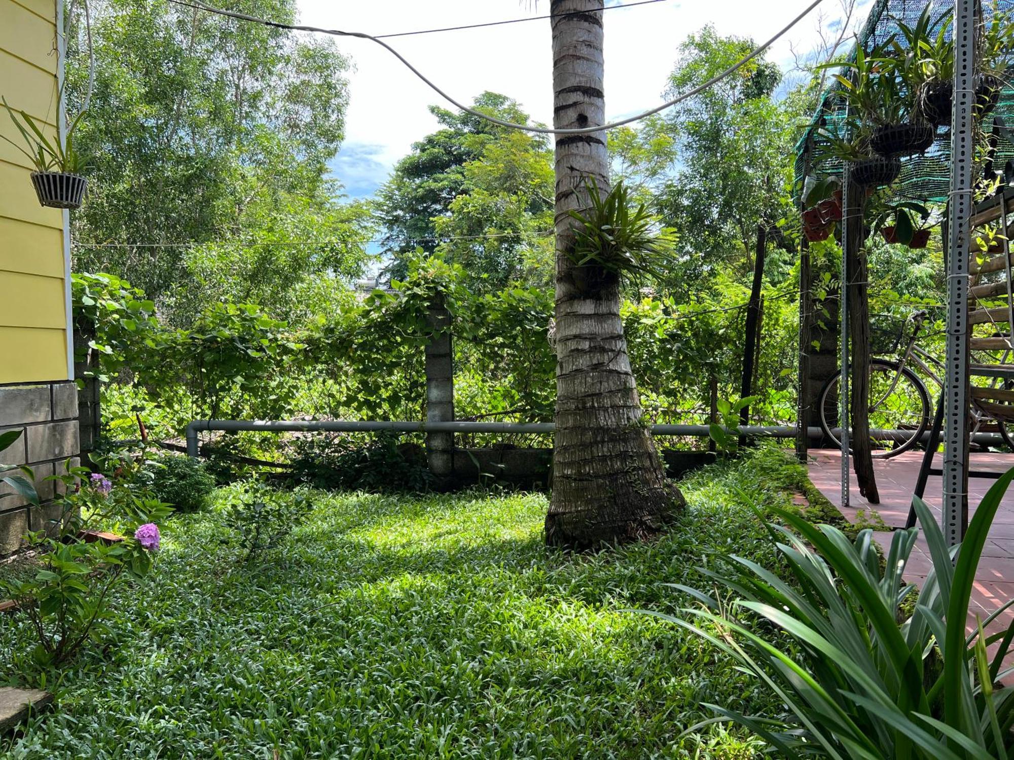 Проживание в семье Tropical Garden Дуонг-Донг