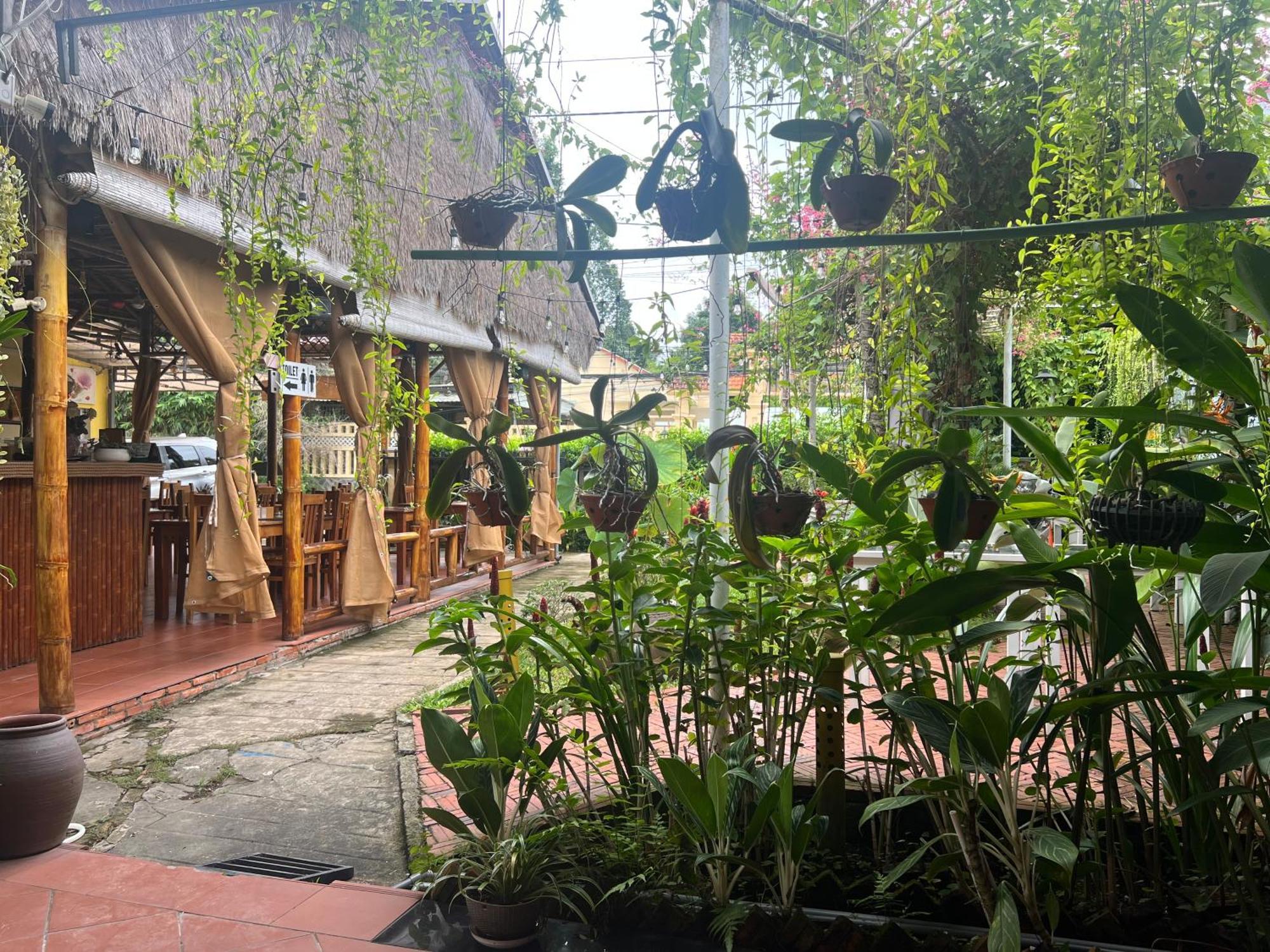 Tropical Garden